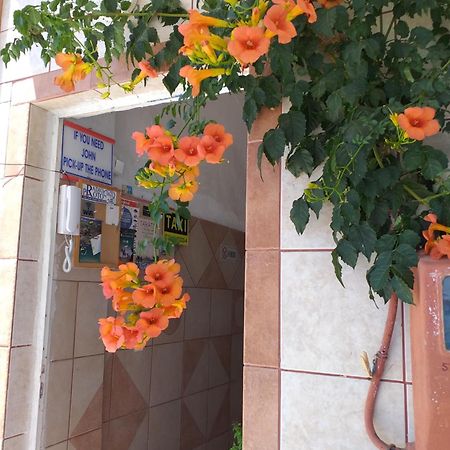 Ladikos Beach Hotel Kardamena  Экстерьер фото