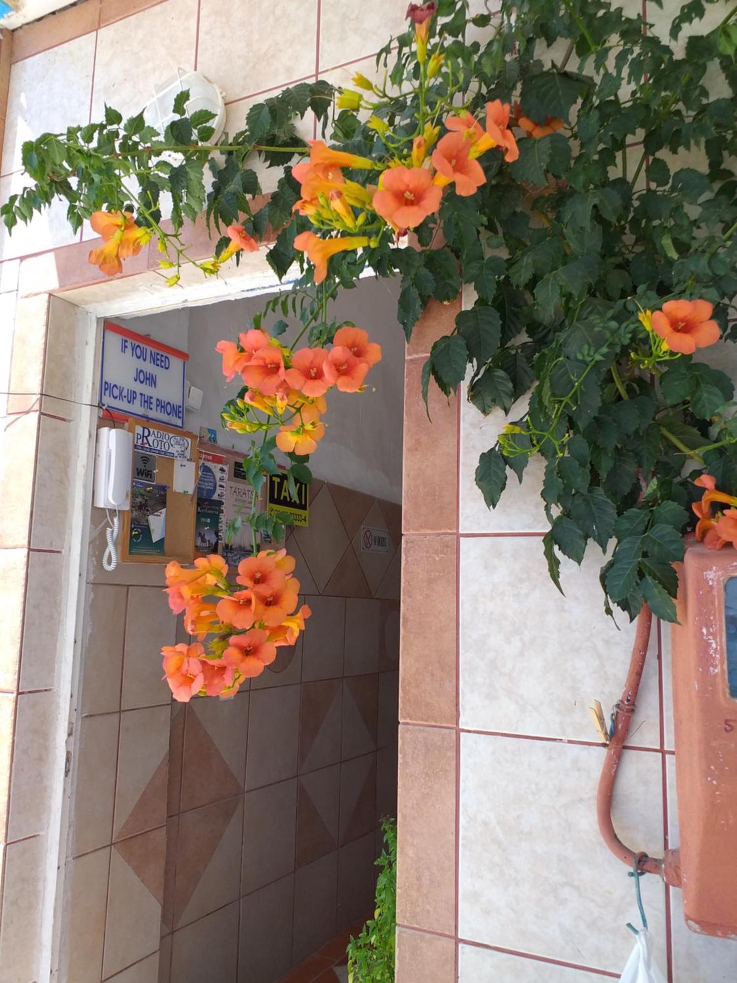 Ladikos Beach Hotel Kardamena  Экстерьер фото